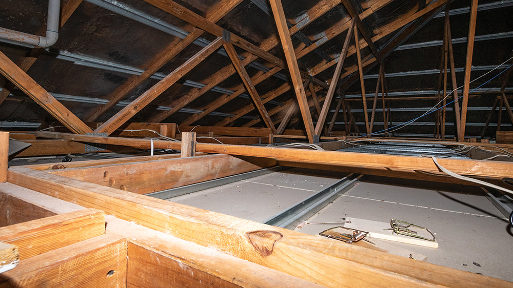 Does Insulation Attract Rodents and Vermin?