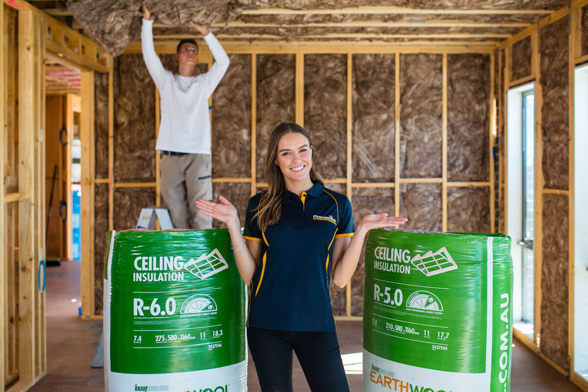 Ecowool vs Earthwool Insulation