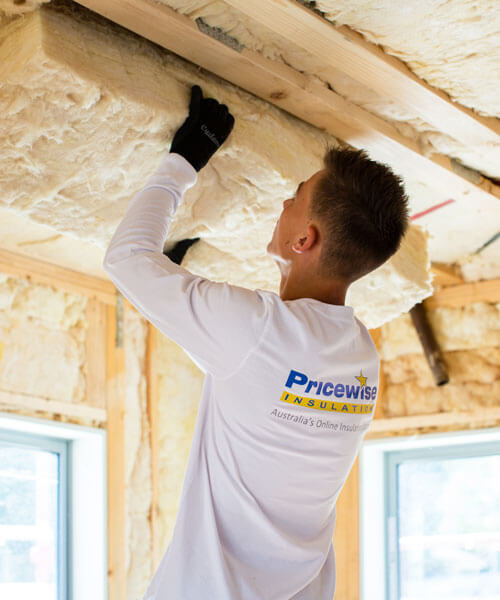Ceiling Insulation