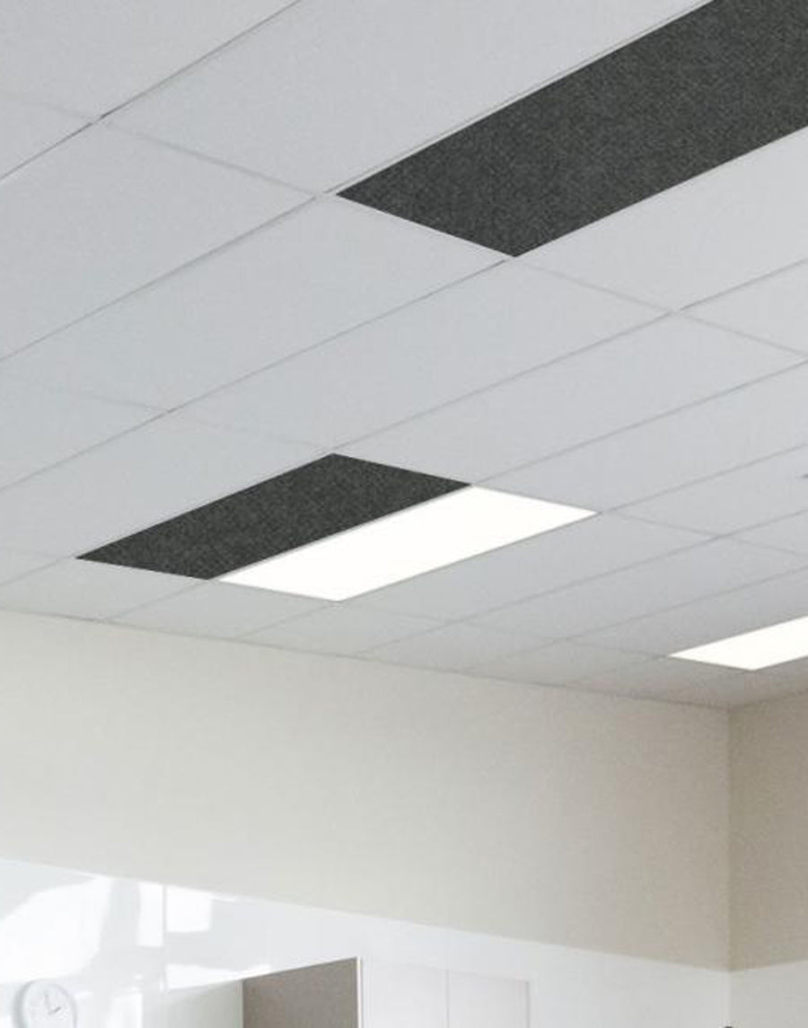 Autex Quietspace Accent Ceiling Tiles