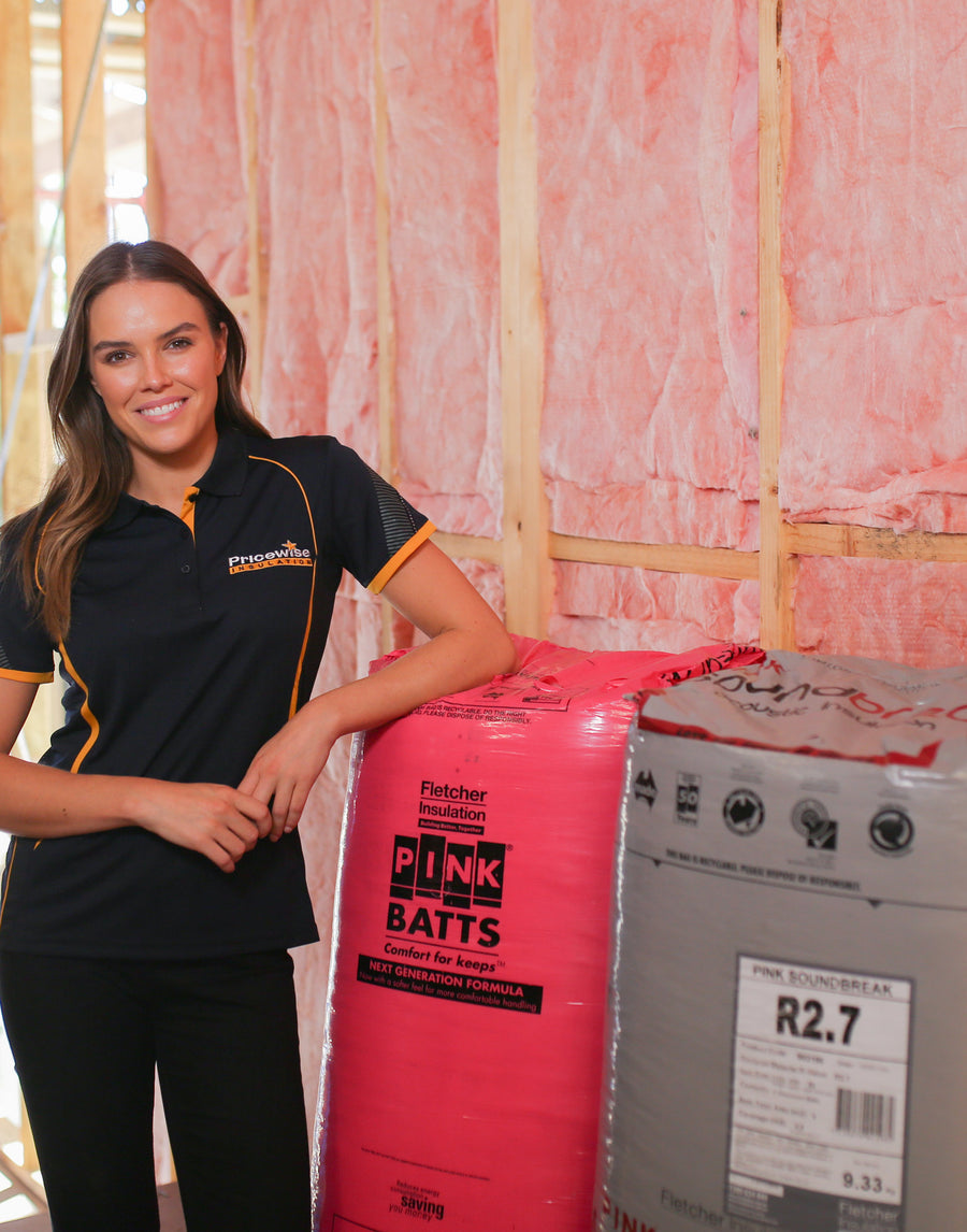 R6.0 Pink Batts Glasswool Ceiling Insulation