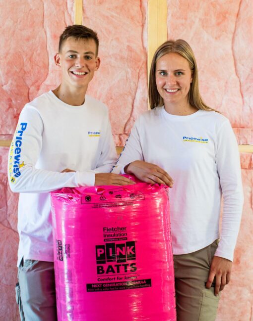 Buy Pink Batts Ceiling Insulation