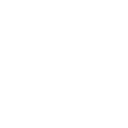 Customer Support Icon