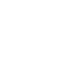 Reduce Noise Icon