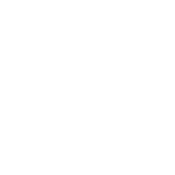 Thermal Performance Icon