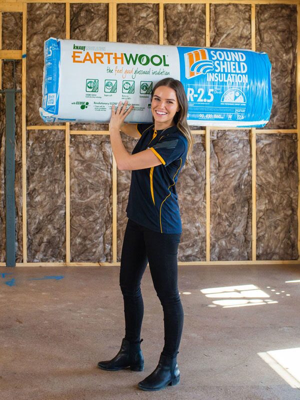 Earthwool Sound Shield insulation
