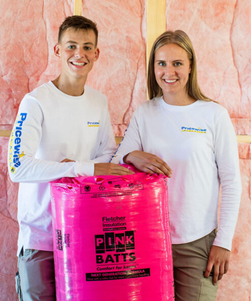 Buy Pink Batts Ceiling Insulation