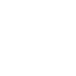 Eco-Friendly Home Icon