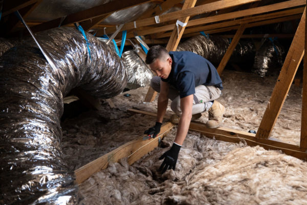 Photo of a man installing in Australia ceiling insulation